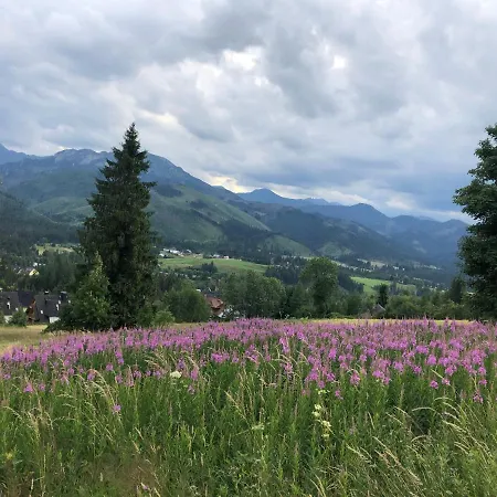 Inspiroapart Comfort And Tatras View Appartamento Kościelisko